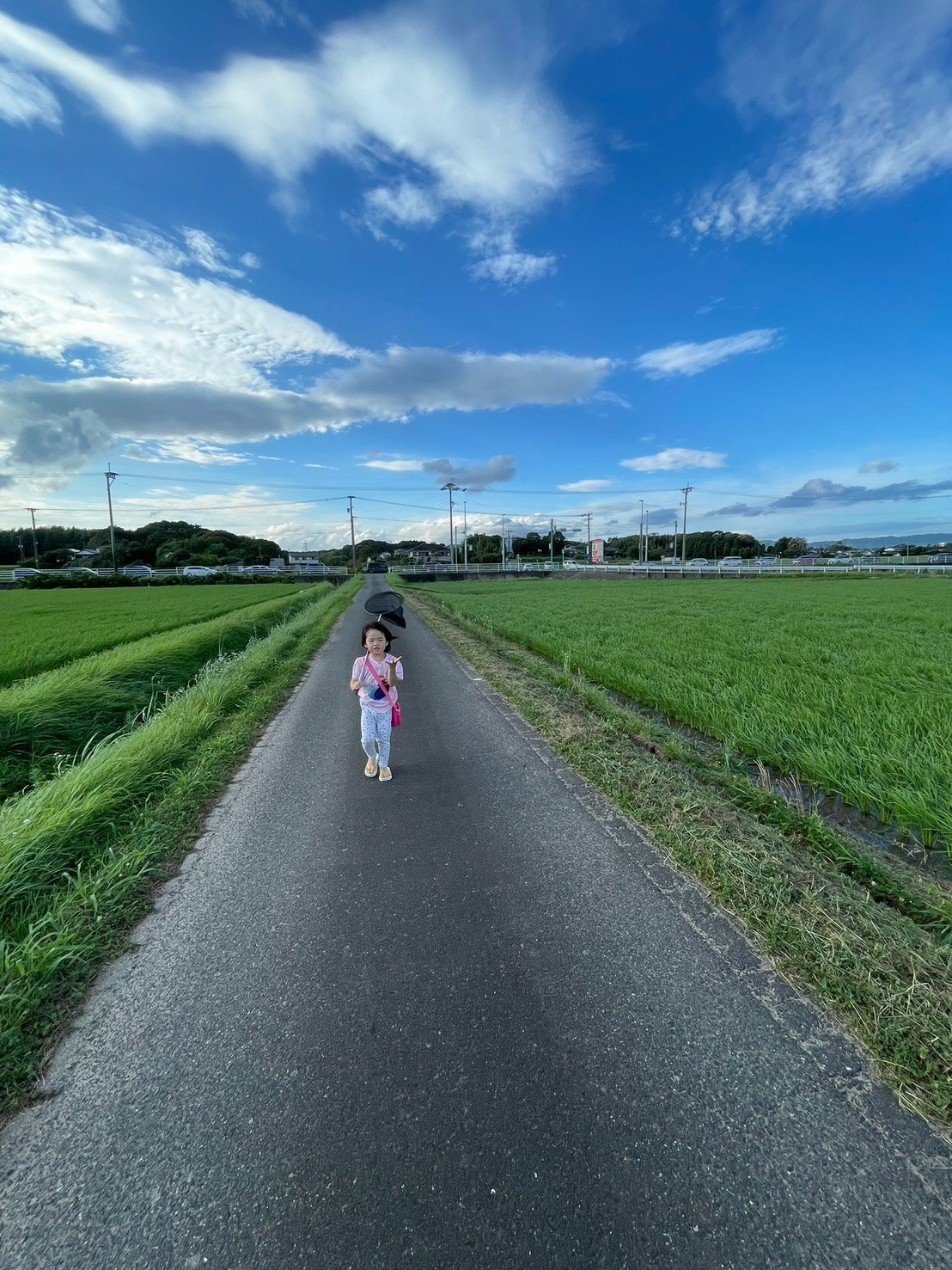 日本の地域の道を歩く若い世代。撮影：Taka